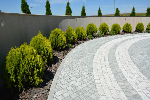 Best Driveway Repair Near Me  in Muskegon, MI