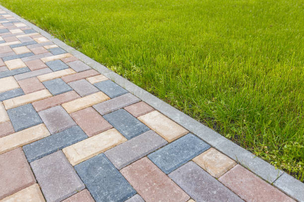 Best Commercial Driveway Pavers  in Muskegon, MI